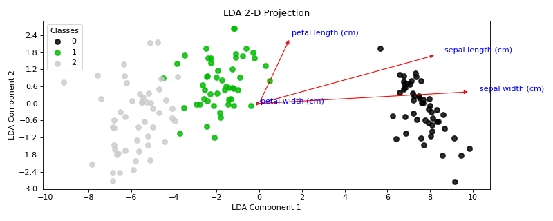 LDA 2D Projection