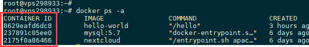 ../../../../../_images/container-id.png