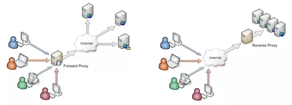 ../../../../../_images/reverse-proxy.png