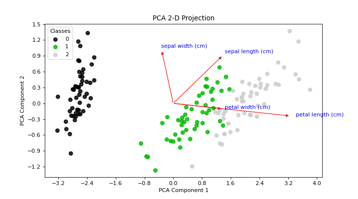 PCA 2D Projection