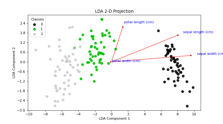 LDA 2D Projection