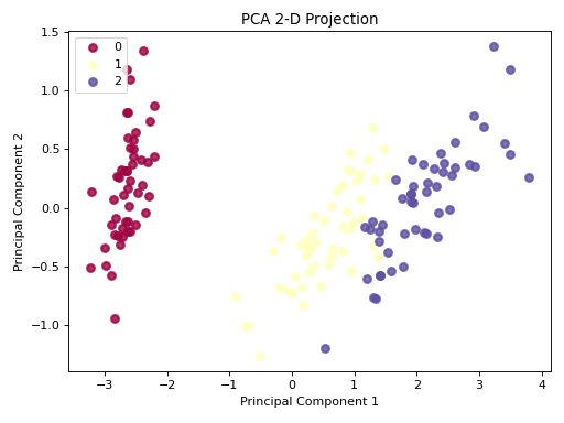 PCA 2D Projection