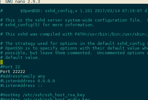 ../../../../../_images/sshd_config.png